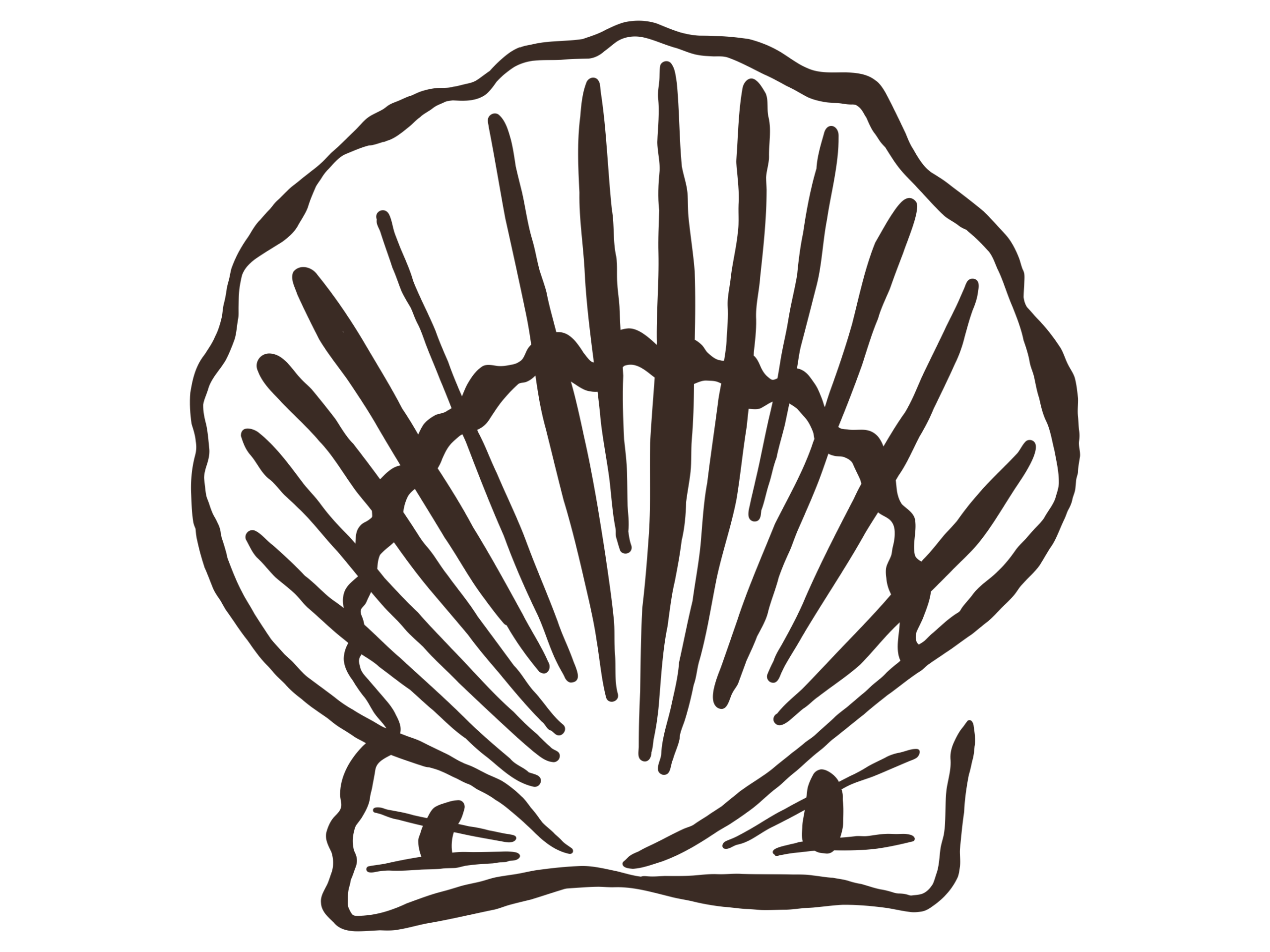 Logo shell illustration for Namas · Ilustration of a shell used as a logo for Namas · Sea handmade jewelry crafted from shells, crystals and soul Sea in color driftwood